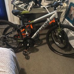 Dynacraft Bike