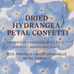 Hydrangea confetti