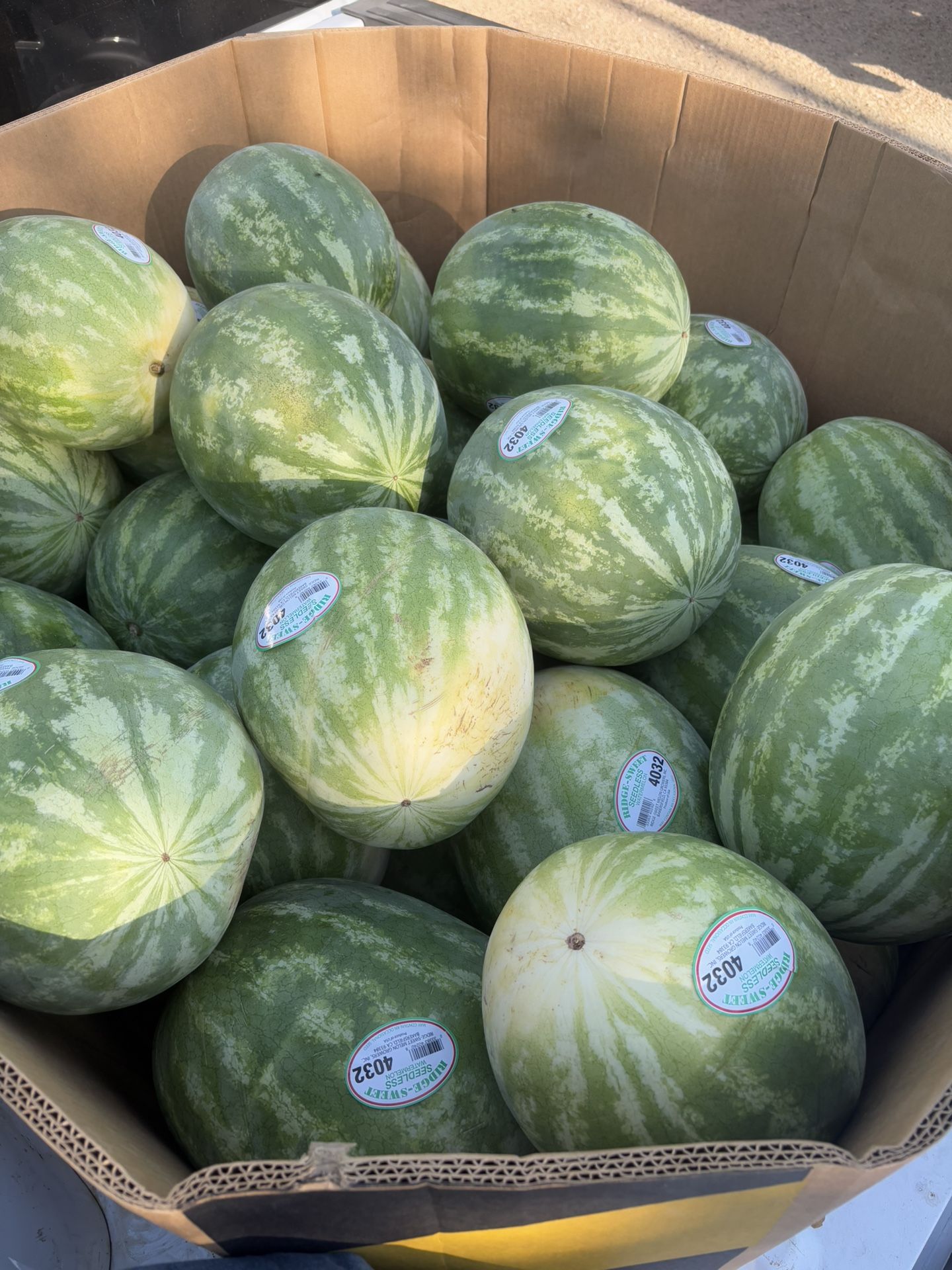 Watermelon