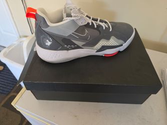 Jordan Dream Team shoes