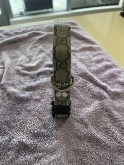 Gucci Dog Collar