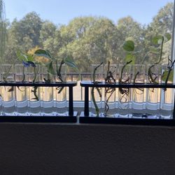 Plant Propagation Tube Station