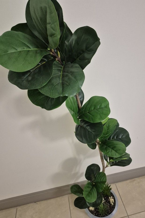 64" Faux Fiddle Leaf Fig Tree w Strawberry Agate Stone / Succulents @ Lasting Creations