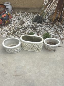 Plant Pots 