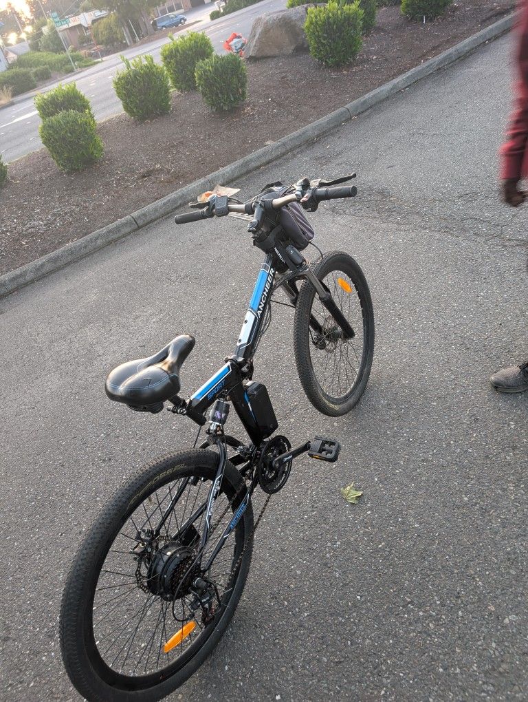 E Mountain Bike With Two Batteries Pack
