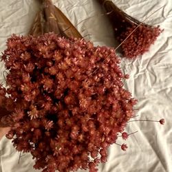 Dried Flowers