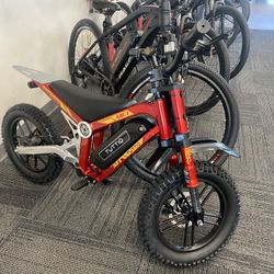 Tuttio ARC1 750W/36V Electric Bike 