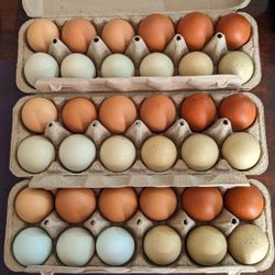 Fresh Eggs $6/Dozen