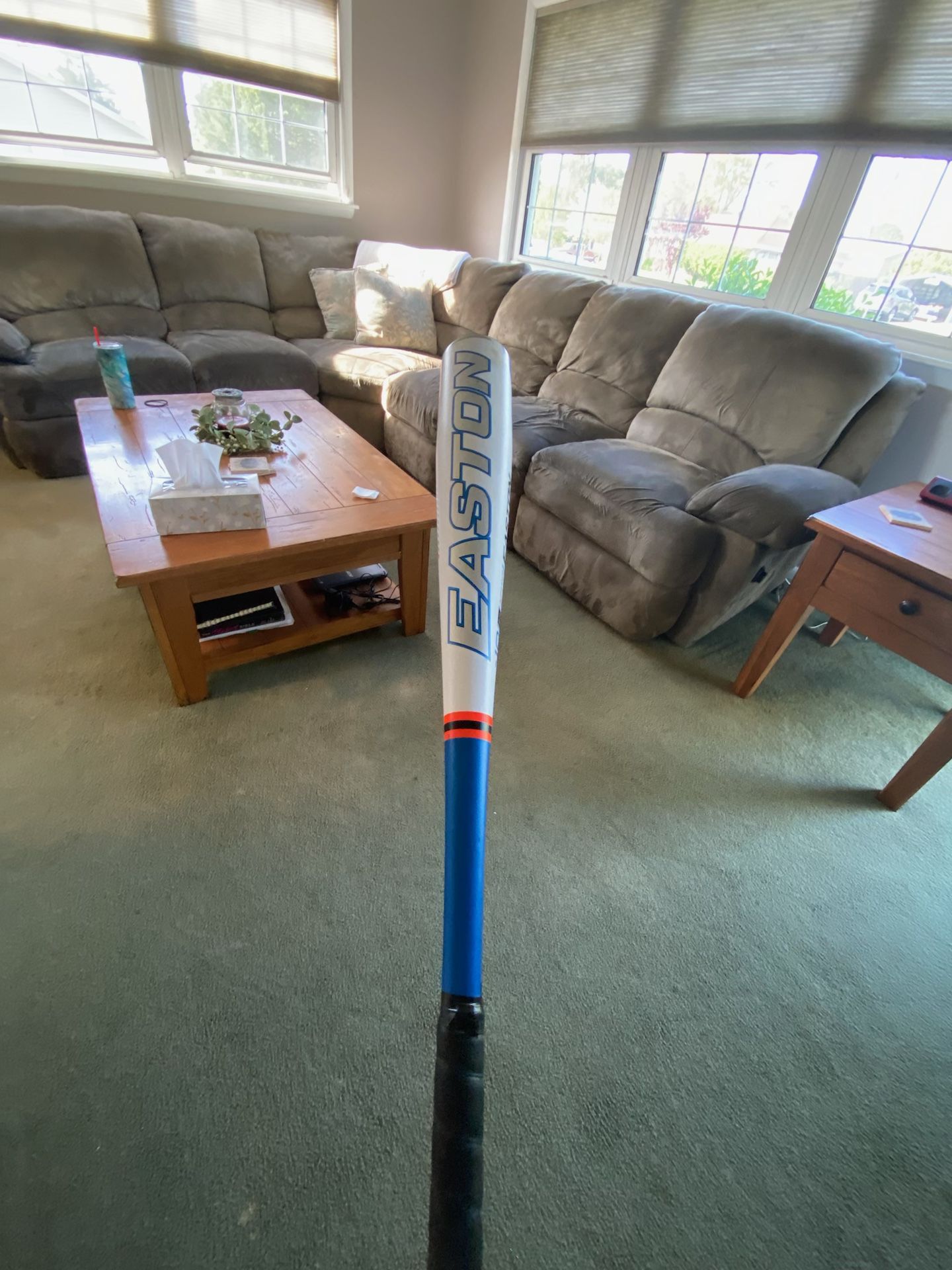 Softball Or Baseball Bat Illuminate