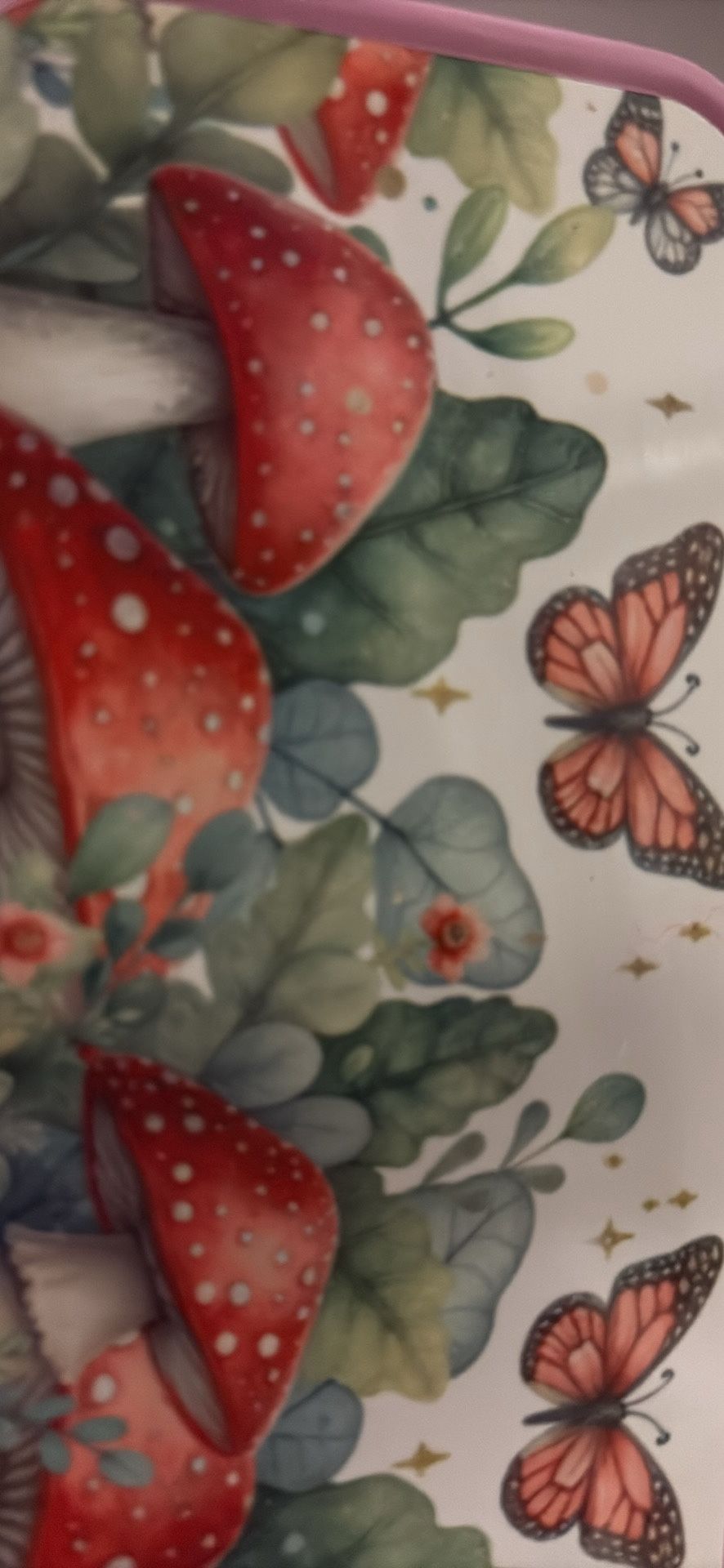 Pencil Box