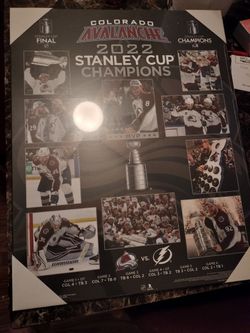 Co Avalanche Wooden Plaque 