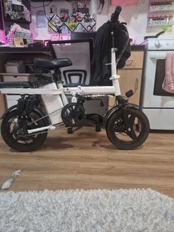 E bike