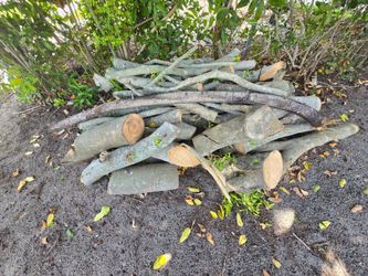 Free firewood