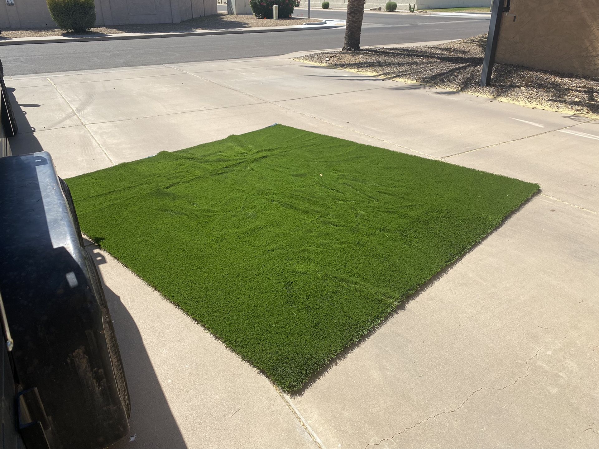 Artificial Turf (Daytona 80) 10x10