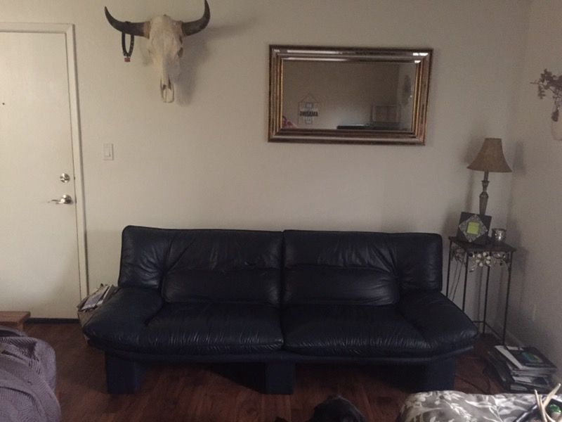 Leather Couch