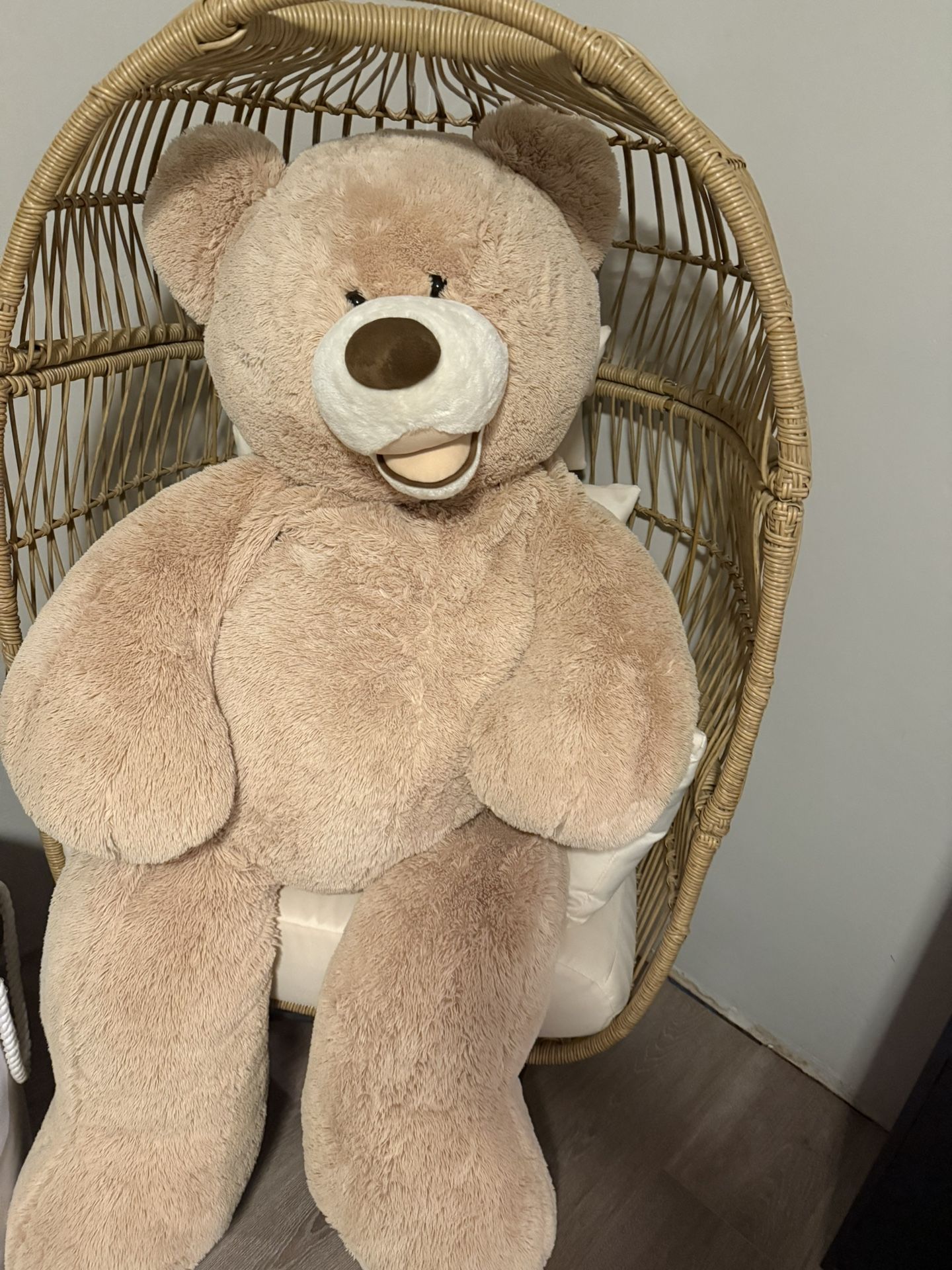 Large Teddy Bear