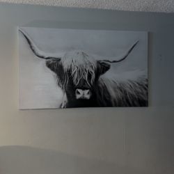 X Large Fluffy Cow Photo
