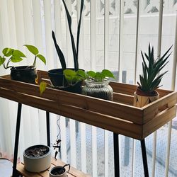 Plant Stand (Ikea-Vaniljstang)