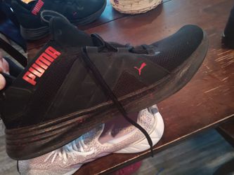 Puma phenom rose best sale gold