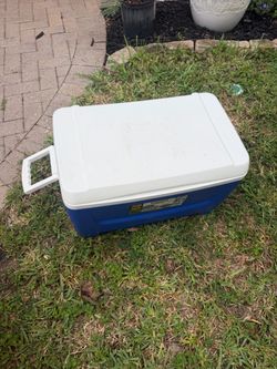 Igloo Hard Cooler Blue and White