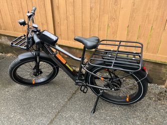 Radrover 6+ Class 2 E-bike