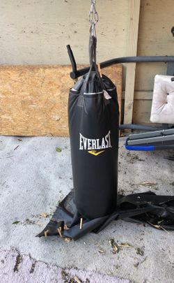 Everlast punching bag
