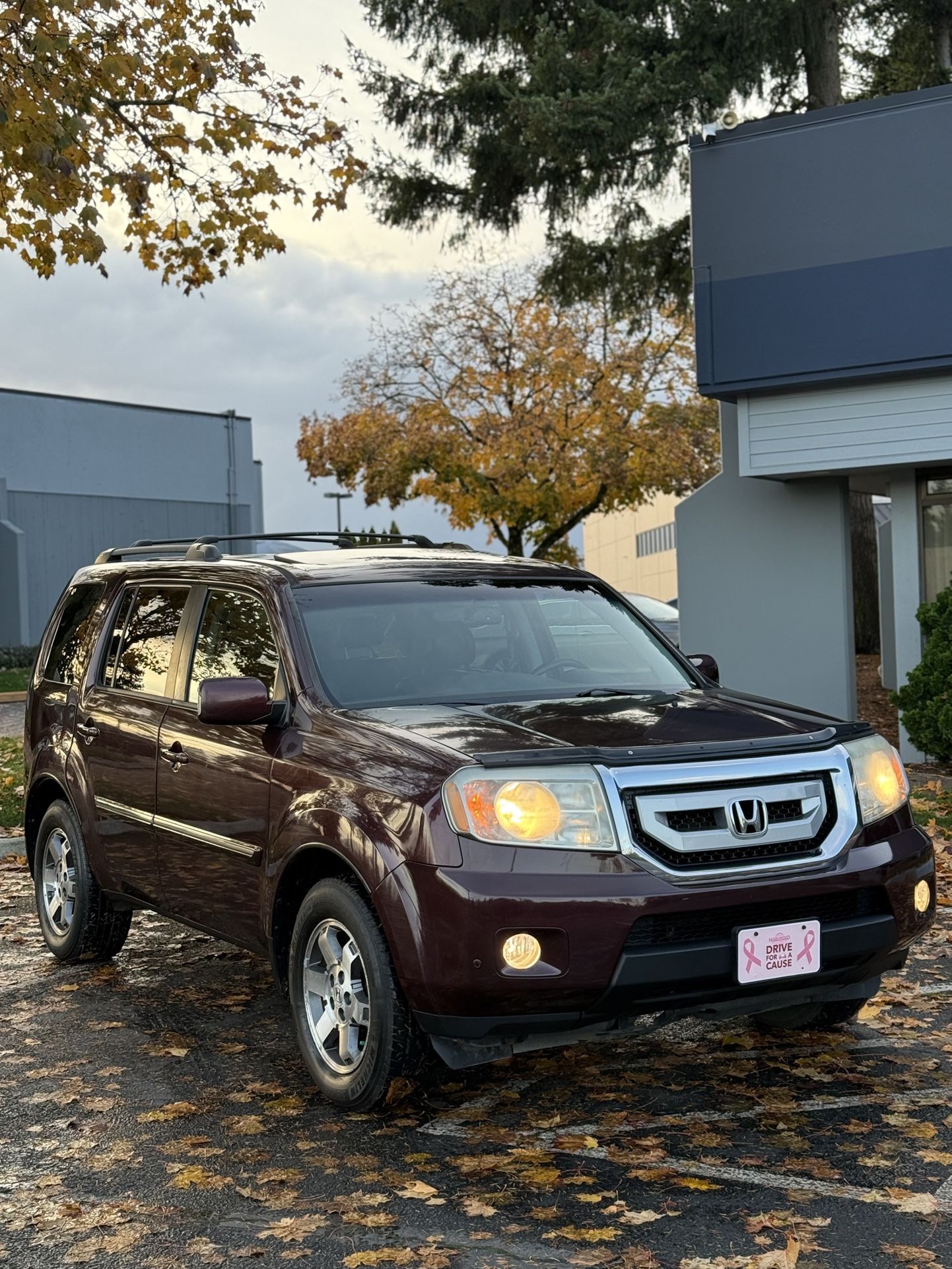 2010 Honda Pilot