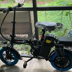 Electric Bike 