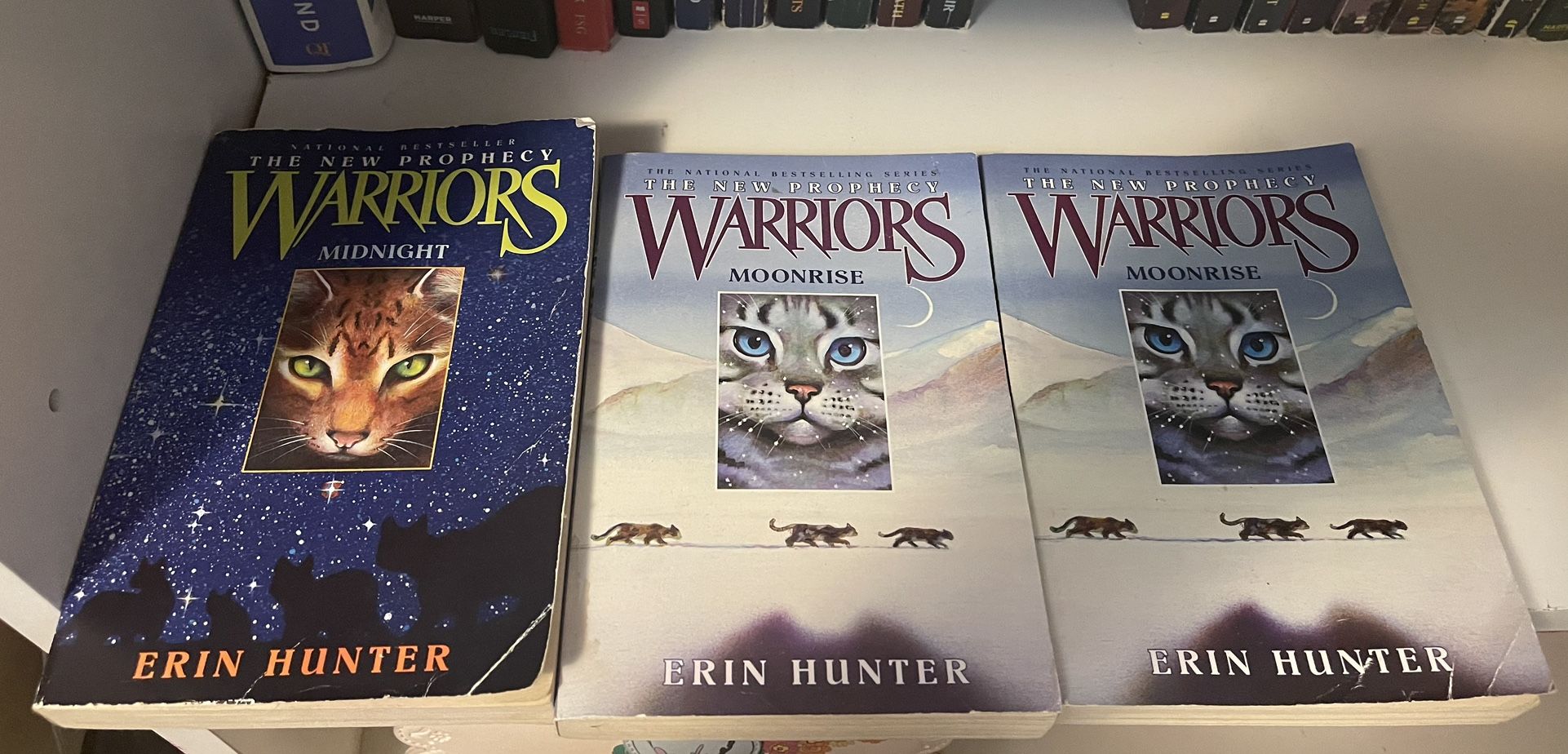 Warrior Cats 5th Series Paperback (Books 1, 2, 4 & 5) for Sale in Brooklyn  Center, MN - OfferUp