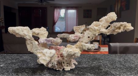 Natural Live Rock Reef Aquarium Décor