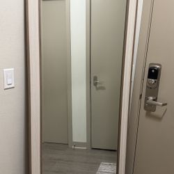 76*30’’ Mirror 