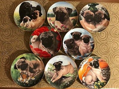 Danbury mint cheap pug plates