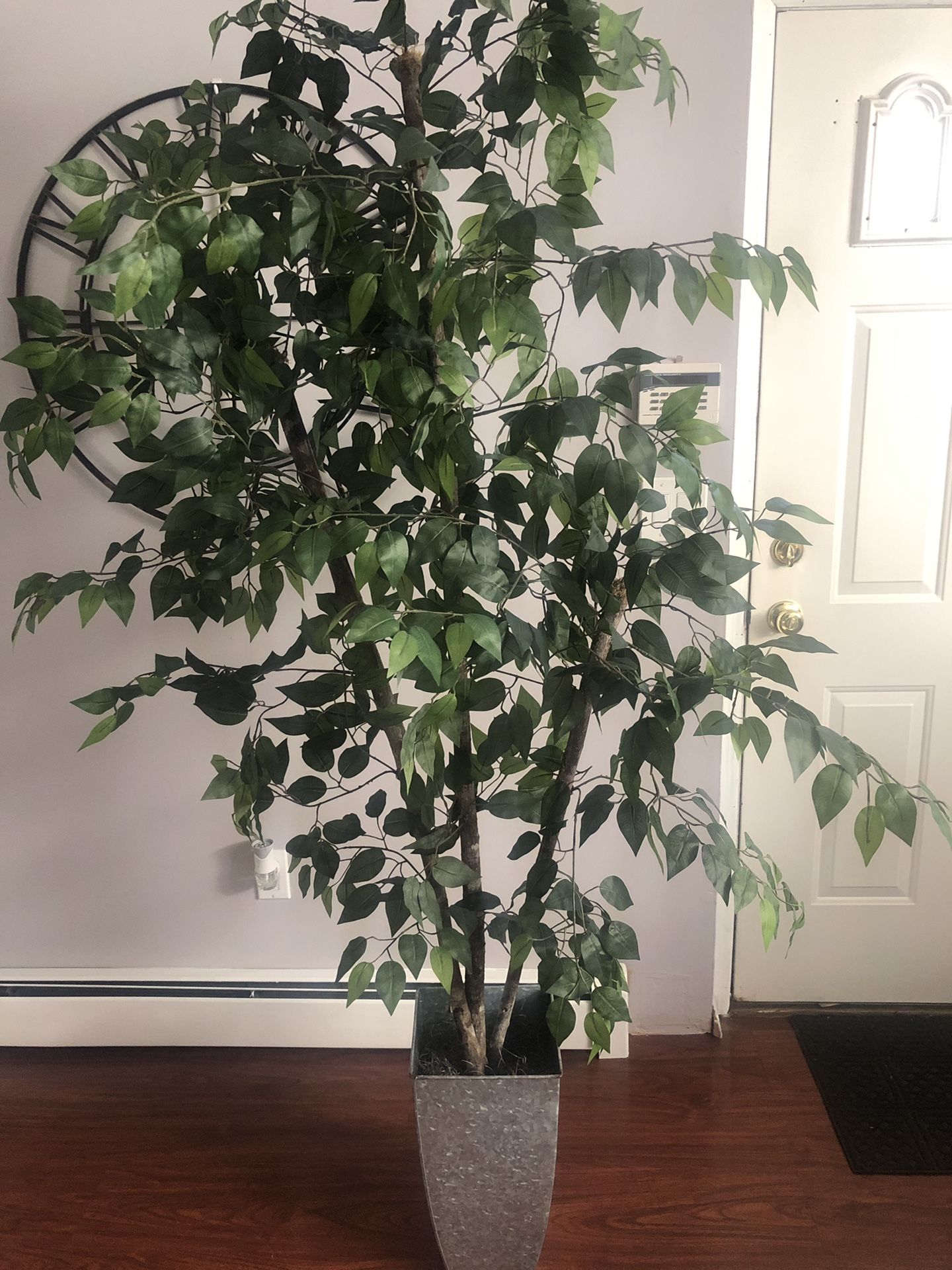 6ft Fake Tree/Plant Decor