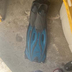 Speedo Fins Long Blades