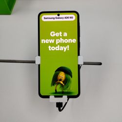 Switch To Cricket Today 