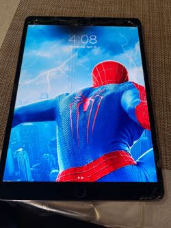 iPad Pro 1 256gb bad lcd.  Still working great.