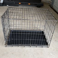 Kennel
