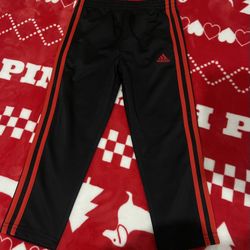 Boys Regular Fit Adidas Pants