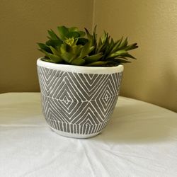 Fake Plant House decor
