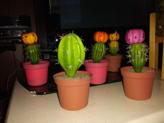 Cacti decor