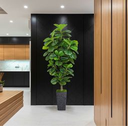 Pretty artificial plant 6 ft tall Fig tree! Brand New