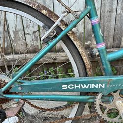 Schwinn  Bike