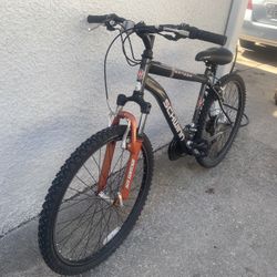 Schwinn Bike