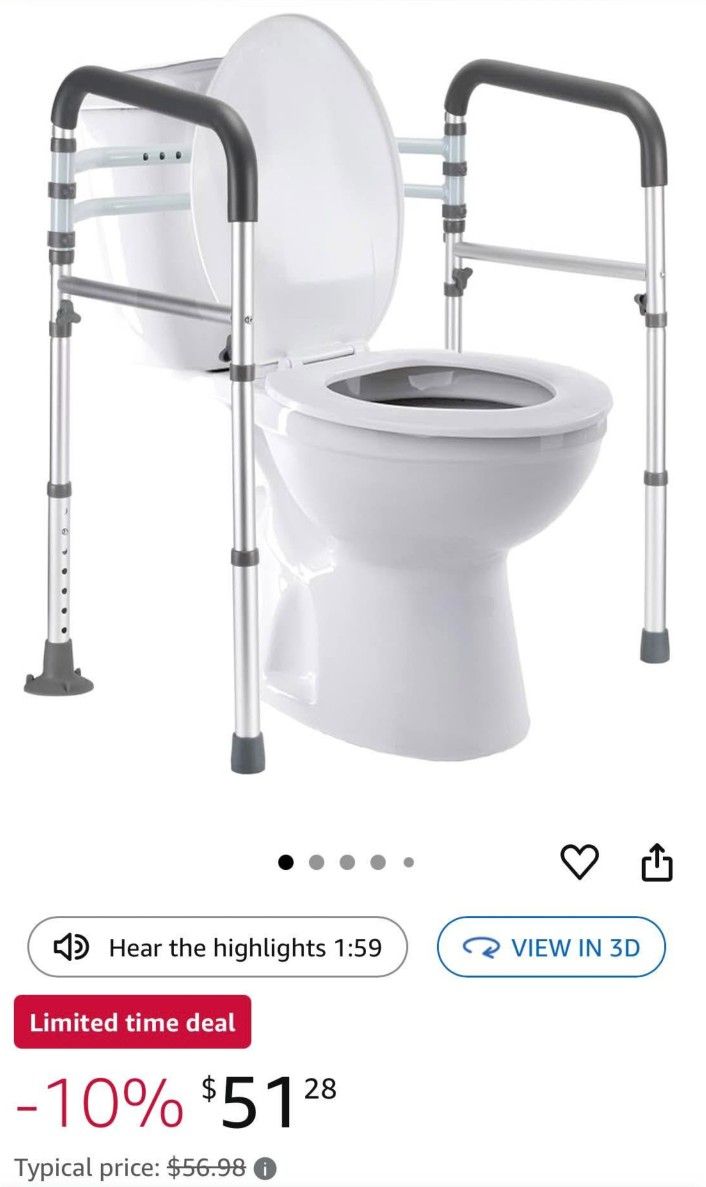 Toilet Safety Rail