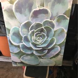 Succulent Canvas Picture