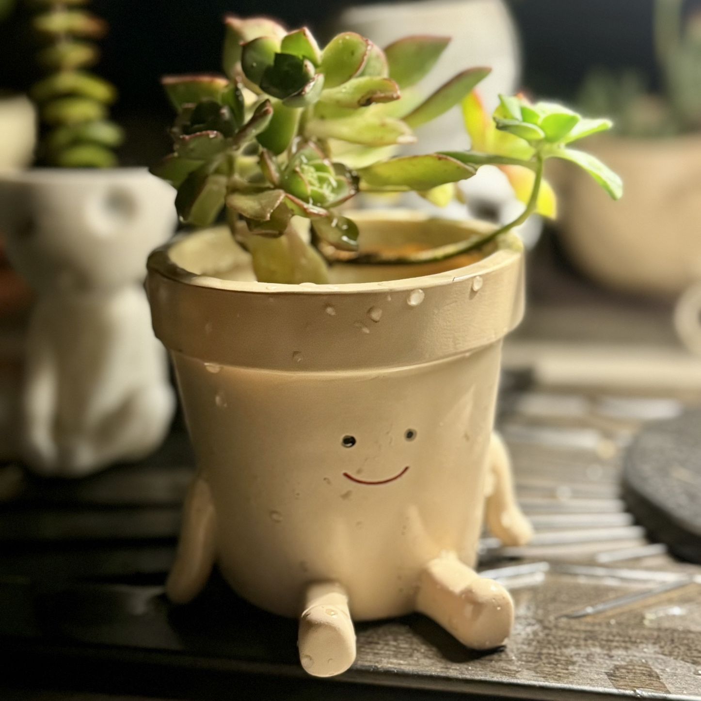 🙂Sitting Happy Little Person -Planter w Succulent 