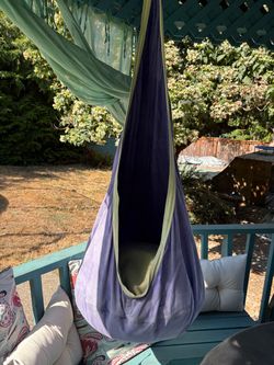 Hanging Pod Swing