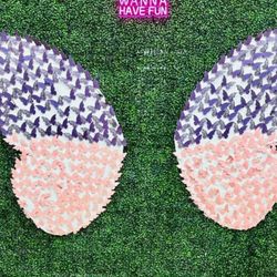 4f Butterfly Wings 