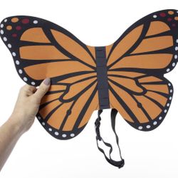 Butterfly Wings Halloween Pet Costume