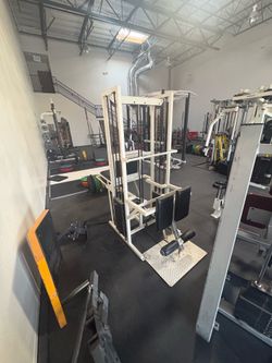 First Gen Flex Seated Lego standing leg curl combo